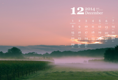 ​关于教师名言警句收集大全