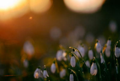 ​关于劳动的名言