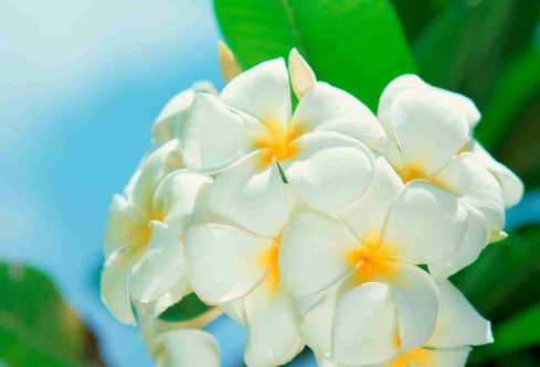 1687807199703849.png image.png