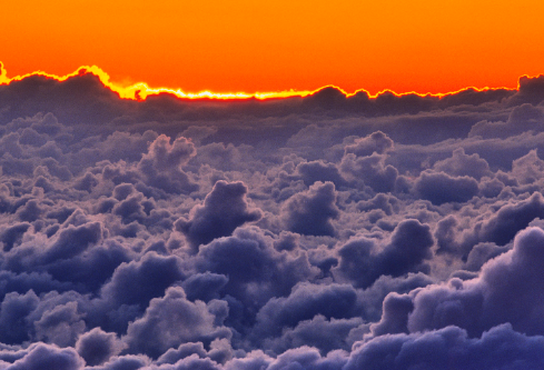 1687808032772495.png image.png