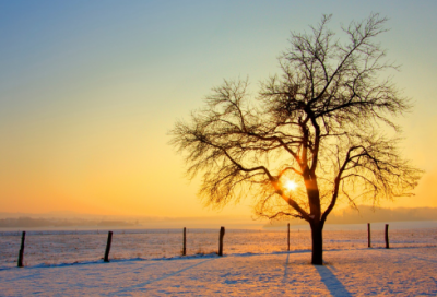 ​新的一年新的希望新的一年祝福语话