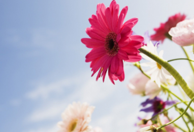 ​恭喜千金祝福语61条