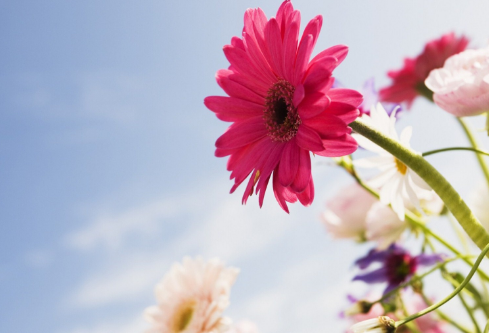 1687819910208392.png image.png