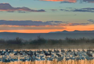​生日祝福语10字51条