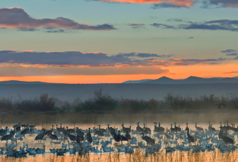 1687820577401182.png image.png