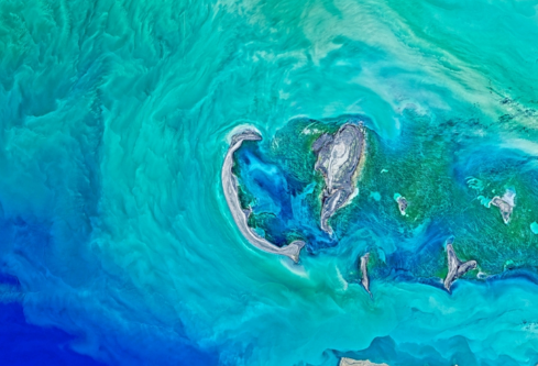 1687821744564850.png image.png