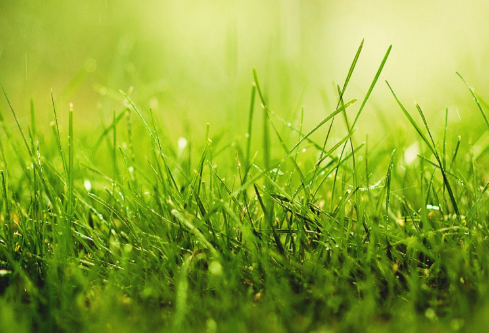 1687821910272780.png image.png