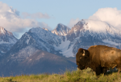 ​老师给学生的毕业赠言（祝福毕业生前程似锦句子）