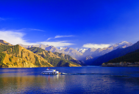 1687828937883192.png image.png