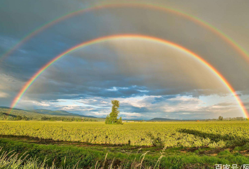 1687829103482951.png image.png