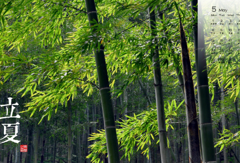 1687831602190682.png image.png