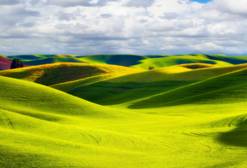 1687832603558271.png image.png