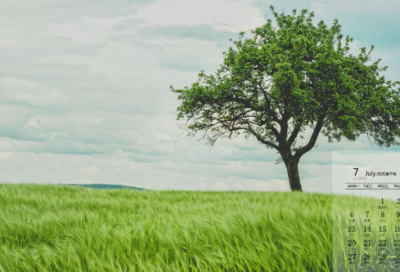 ​过年吉祥话祝福语大全（春节吉祥话祝福语短句）