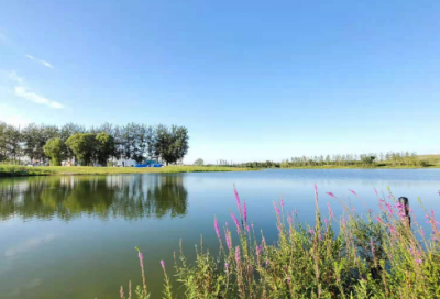 ​牛年拜年祝福语简短