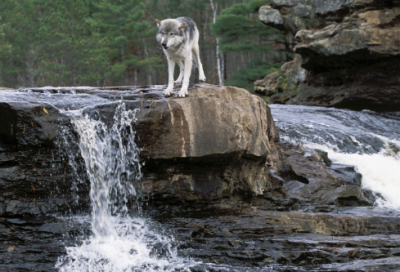 ​端午快乐祝福语简短（关于端午节简短问候语）
