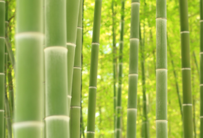 ​国庆节祝福语简短（庆祝国庆节的文案）