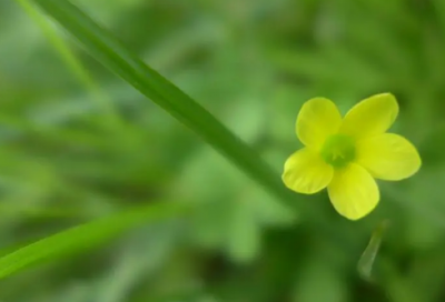​祝福情侣的唯美句子（祝福朋友恋人的唯美语句）