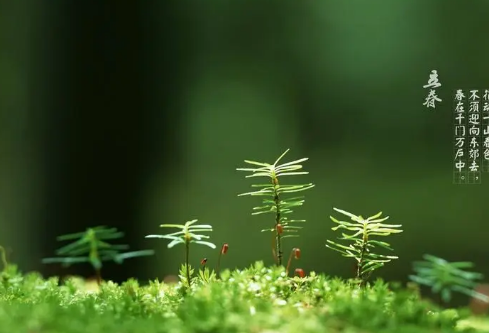 1687838943174673.png image.png