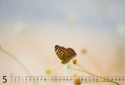 ​端午节祝福诗句端午节祝福