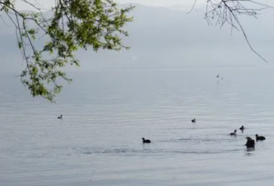 ​520祝福语送老婆（对情人最深情的祝福语）