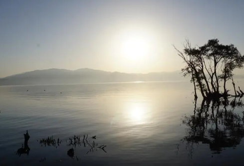 1687844633197138.png image.png