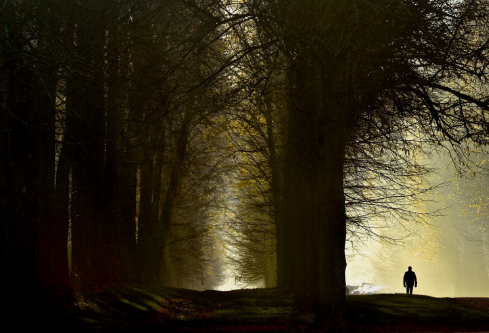 1687845798871048.png image.png