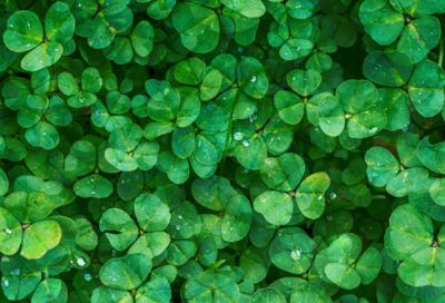 ​元宵节短信祝福语简短（祝福元宵节的优美句子）