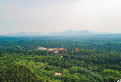 ​母亲节的说说短语祝福（母亲的句子唯美简短）