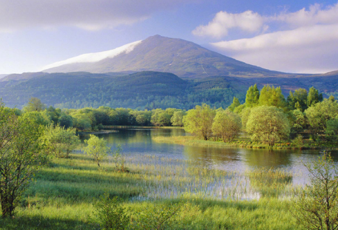 1687884920885876.png image.png