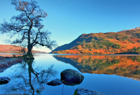 1687885253900223.png image.png