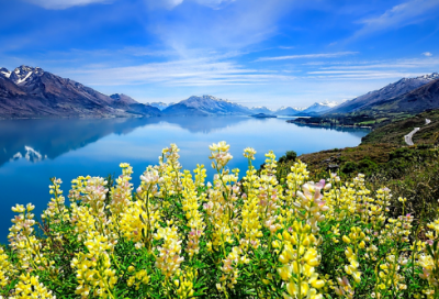 ​醉翁亭记教案及反思（醉翁亭记优秀教案一等奖）