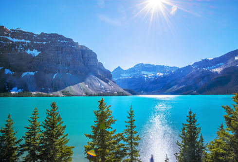 1687886417107303.png image.png