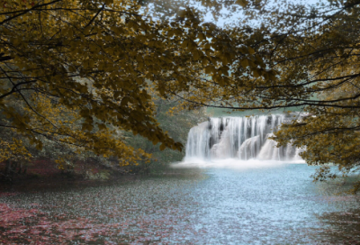 ​长恨歌作者简介(长恨歌注释及赏析）