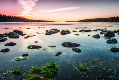 ​好的开头结尾摘抄大全（值得摘抄的文段）