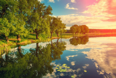 ​颁白者不负戴于道路矣（寡人之于国也全文赏析）