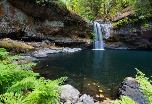 1687889245858215.png image.png