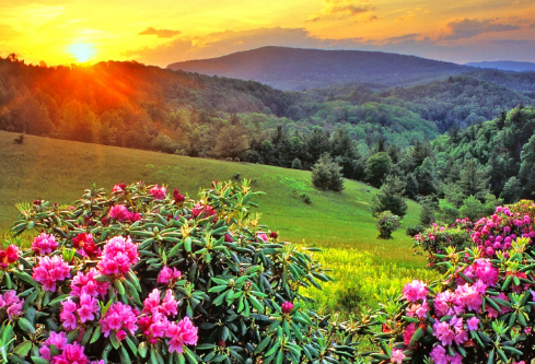 1687889412563062.png image.png