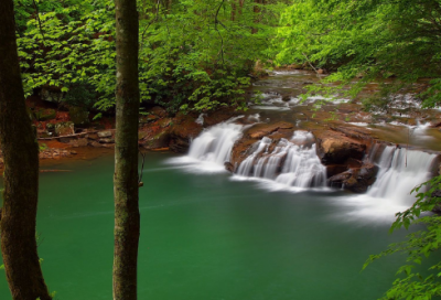 ​积极正能量作文素材（励志作文素材200字）