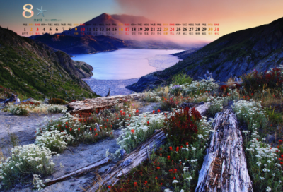 ​读后感400字西游记（读西游记有感400字左右）