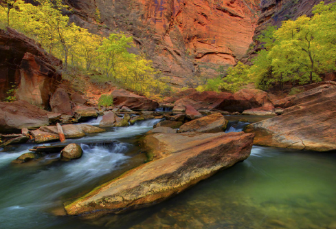 1687924457576315.png image.png