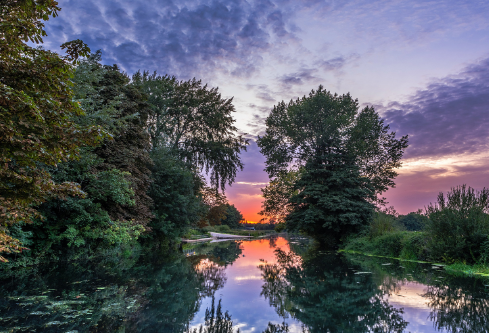 1687925123695255.png image.png