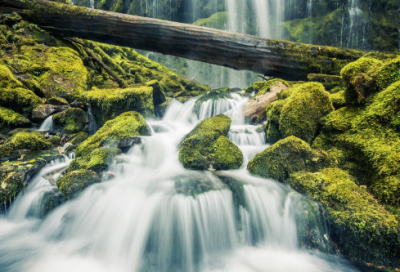 ​安史之乱简介与杨贵妃（安史之乱详细介绍）