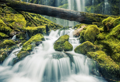 1687925290691687.png image.png