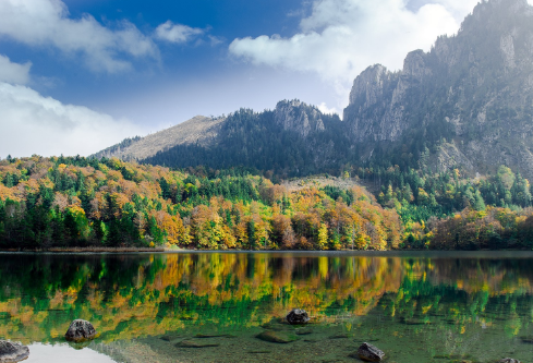 1687926620659719.png image.png