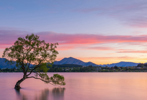 1687926953258016.png image.png