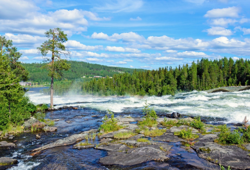 1687927452713743.png image.png