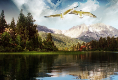 1687927785296278.png image.png