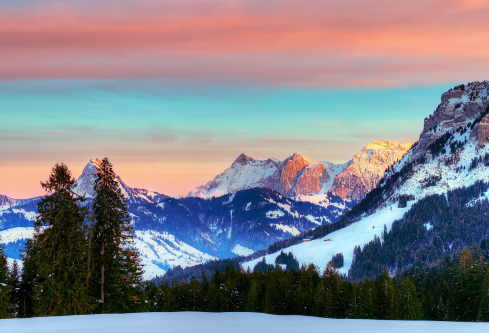 1687927952119836.png image.png