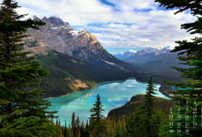 ​班级德育工作计划（班级德育教育内容及具体措施）