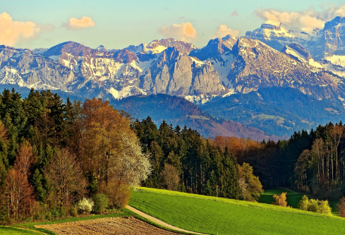 1687929449884760.png image.png